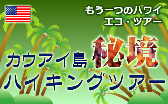 カウアイ島秘境ハイキングツアー