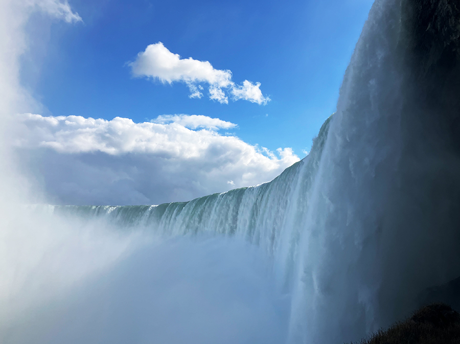 ナイアガラ大会