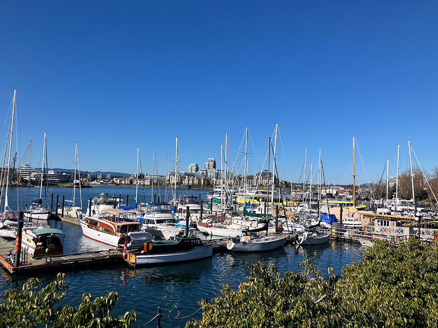 ビクトリアマラソン