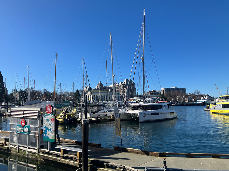 ビクトリアマラソン