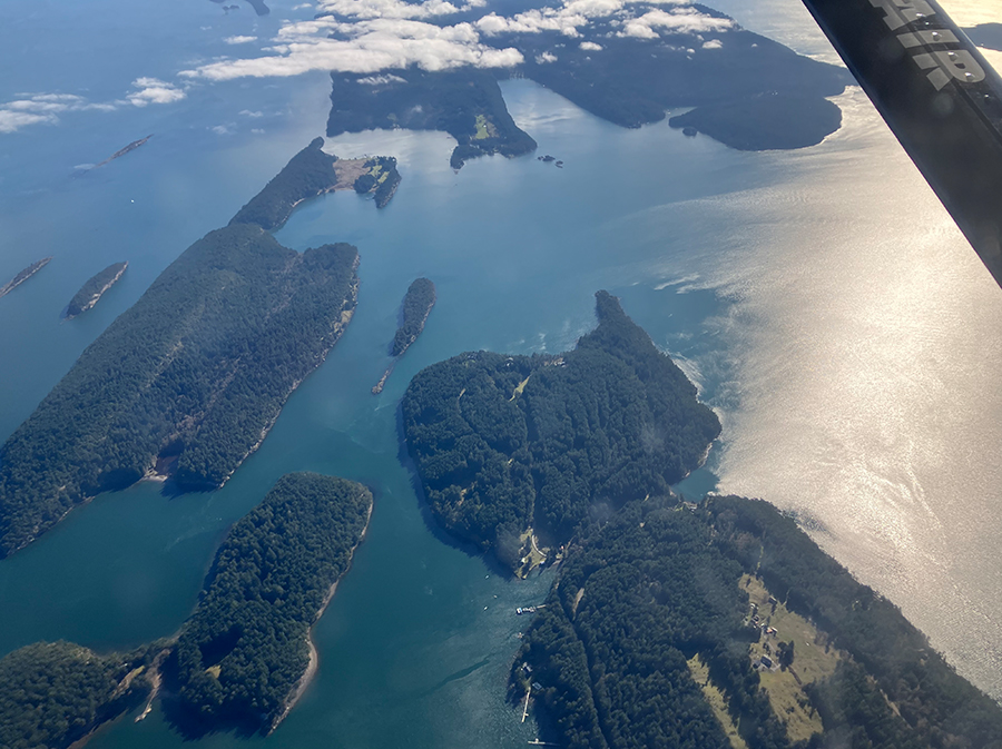 ビクトリアマラソン