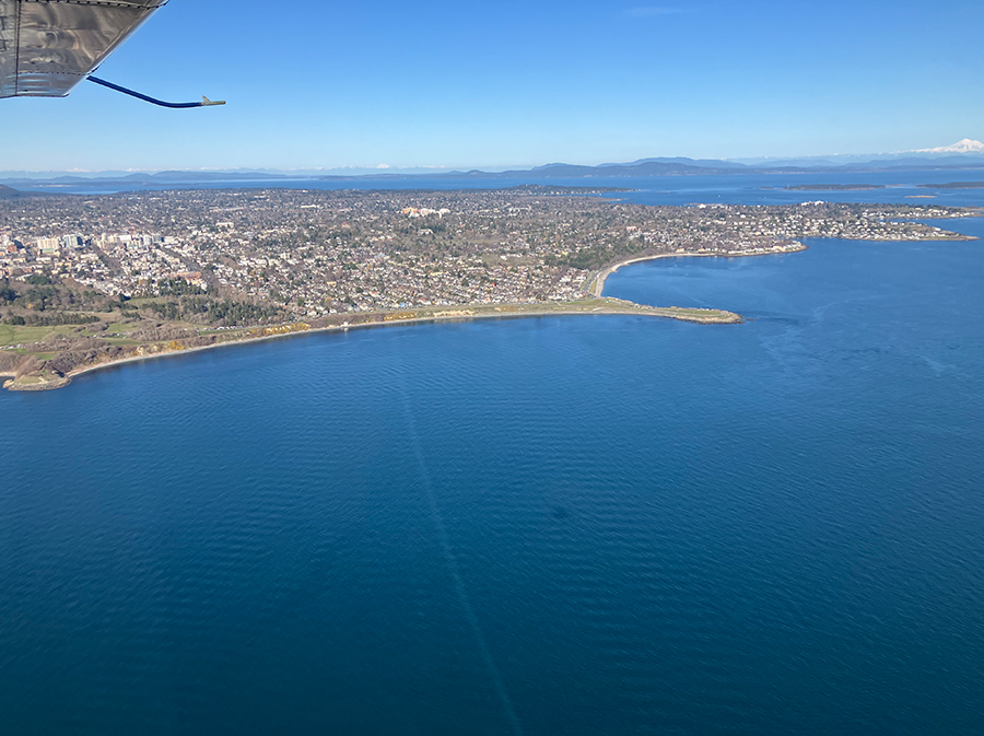 ビクトリアマラソン